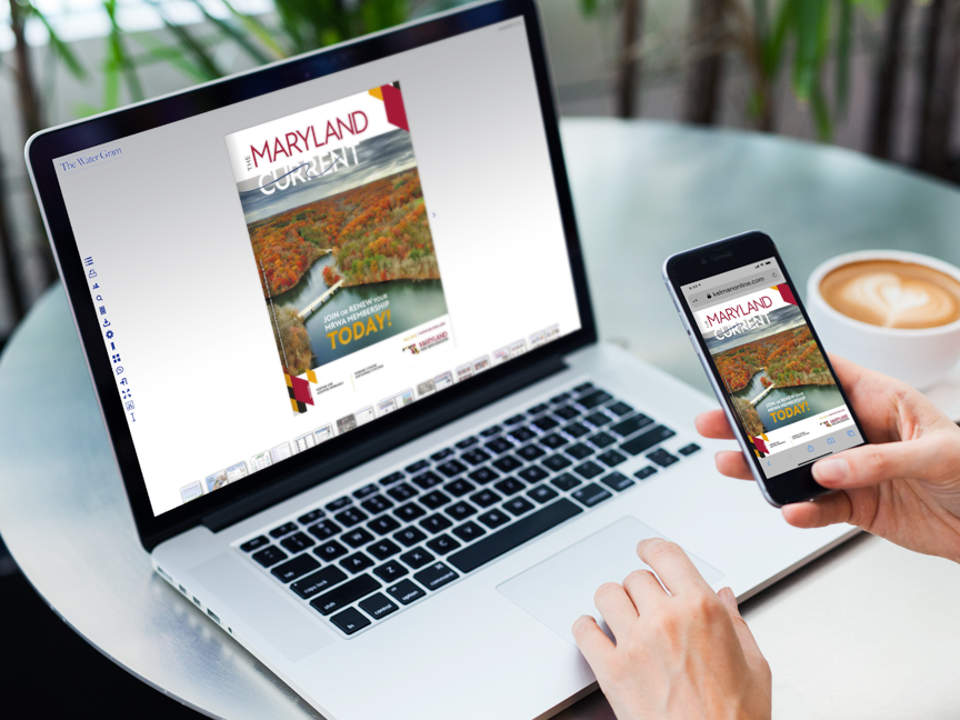 Interactive Edition Available Online